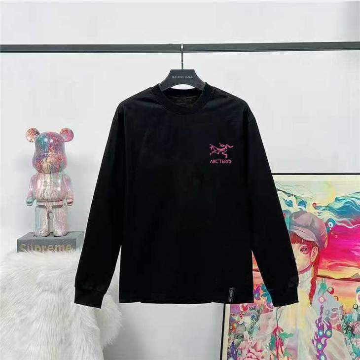 Picture of Arcteryx T Shirt Long _SKUArcteryxXS-LtptxD51249754
